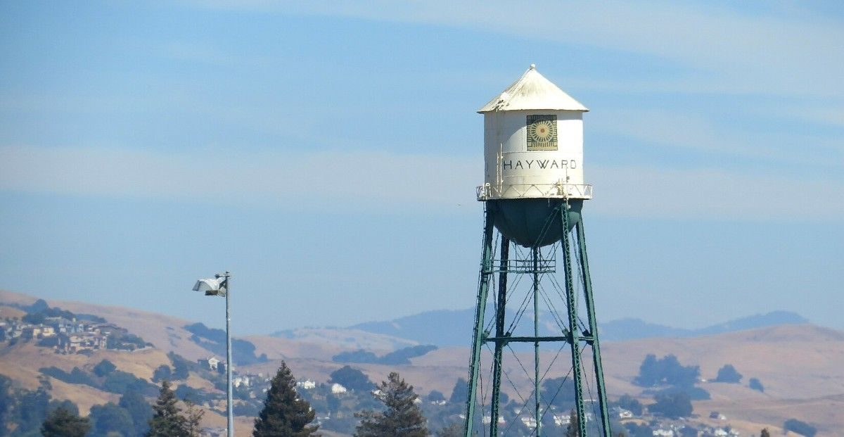 Why Hayward Is the East Bay's Most Underrated Home Base โ And What Smart Buyers Need to Know