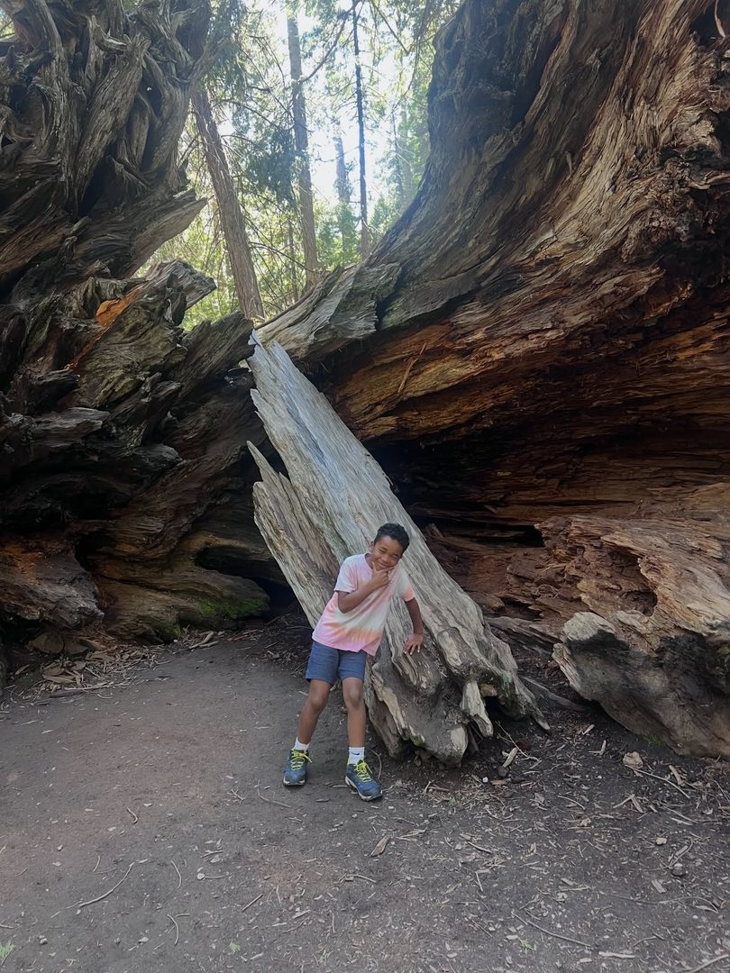These were some big trees! Thankful for Mother Nature and the joy of living in California. This quick drive, less than 3 hours, from Oakland past Modesto led us to the Calaveras county where Big Trees National Park shared the awe of giant sequoias. Highly recommend this spring break getaway 🌲