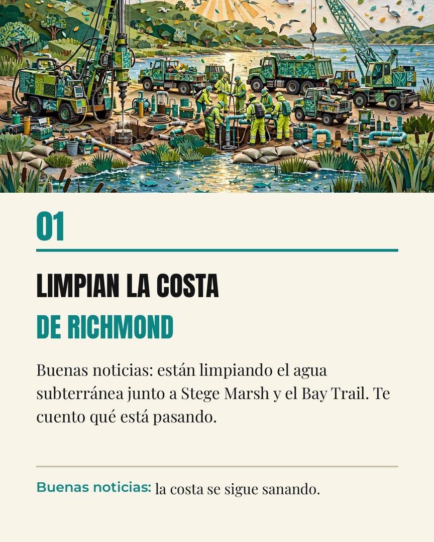 ¿Sabías que están limpiando la costa de Richmond? 🌊

El estado de California (DTSC) empezó a tratar el agua subterránea junto a Stege Marsh y el Bay Trail. Están atrapando metales como el cobre, el níquel y el zinc para que no se propaguen — y de paso protegen a los animales, monitorean el aire y cuidan un ave en peligro de extinción.

Los trabajos van de septiembre 2026 a enero 2027, entre semana. Si pasas por el Bay Trail vas a ver camiones y equipo — es buena señal: la costa se sigue sanando.

Comenta ZENECA y te mando más info 💛

#RichmondCA #ContraCostaCounty #BayArea #MedioAmbiente #northcalagent