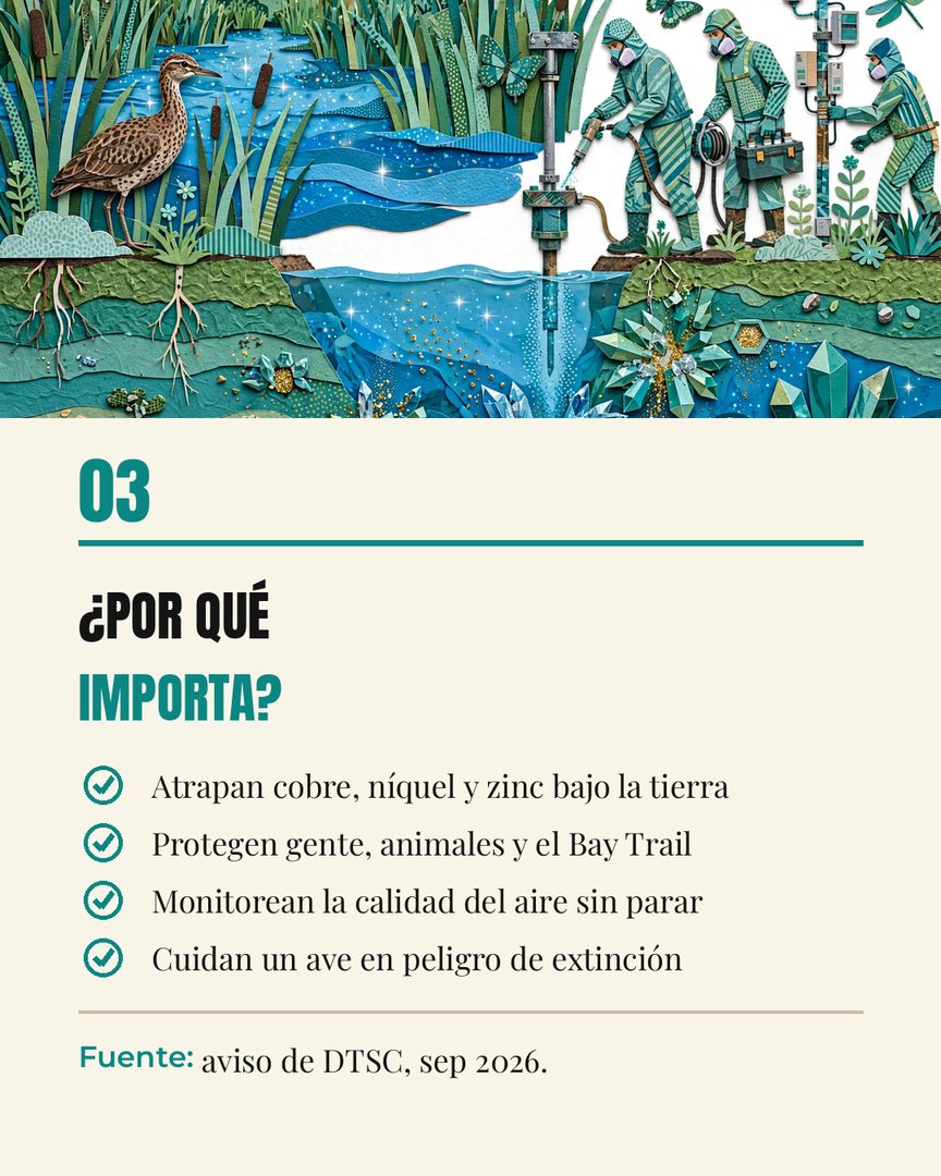 ¿Sabías que están limpiando la costa de Richmond? 🌊

El estado de California (DTSC) empezó a tratar el agua subterránea junto a Stege Marsh y el Bay Trail. Están atrapando metales como el cobre, el níquel y el zinc para que no se propaguen — y de paso protegen a los animales, monitorean el aire y cuidan un ave en peligro de extinción.

Los trabajos van de septiembre 2026 a enero 2027, entre semana. Si pasas por el Bay Trail vas a ver camiones y equipo — es buena señal: la costa se sigue sanando.

Comenta ZENECA y te mando más info 💛

#RichmondCA #ContraCostaCounty #BayArea #MedioAmbiente #northcalagent