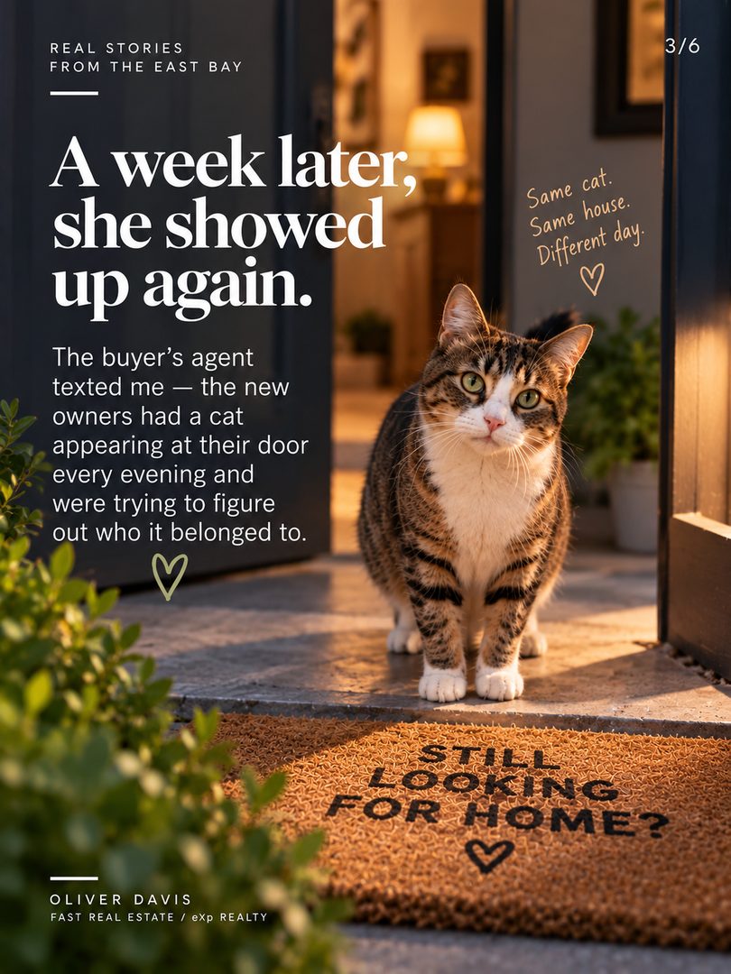 A house I sold in Oakland closed a few weeks ago, and every night since, a cat had been showing up at the front door trying to get in. 🐾
The seller had two cats she loved. On moving day one of them, Gigi, got out. She searched, came back the following day, and eventually had to leave without her. Then about a week later the buyer's agent texted me — the new owners had a cat appearing at their door every evening and were trying to figure out who it belonged to.
I connected it immediately, called the previous owner, and we worked out a plan to coax Gigi inside so she could be collected. Yesterday they were reunited.
I share this because the part of this job that actually stays with me usually has nothing to do with the contract. A closing looks like a date on a calendar and a set of signatures. For the person moving out, it's the end of years of ordinary life in that space, and it tends to be more disorienting than anyone plans for — especially for the animals, who have no context for why everything is suddenly in boxes. 🏡
The practical takeaway for anyone listing with pets: secure them off-site before movers arrive, not during. Doors get propped open and nobody is watching them. And to the buyers and the agent on the other side who took the time to ask a question instead of shrugging it off — that's the reason this ended well.
If you've got a moving-day story of your own, I'd genuinely like to read it in the comments.
Oliver Davis · Fast Real Estate / eXp Realty
📞 628-259-8398 | oliver@soldbyod.com | @oliverdavisreal estate agent
#RealEstate #EastBayRealEstate #Oakland #movingwithpets