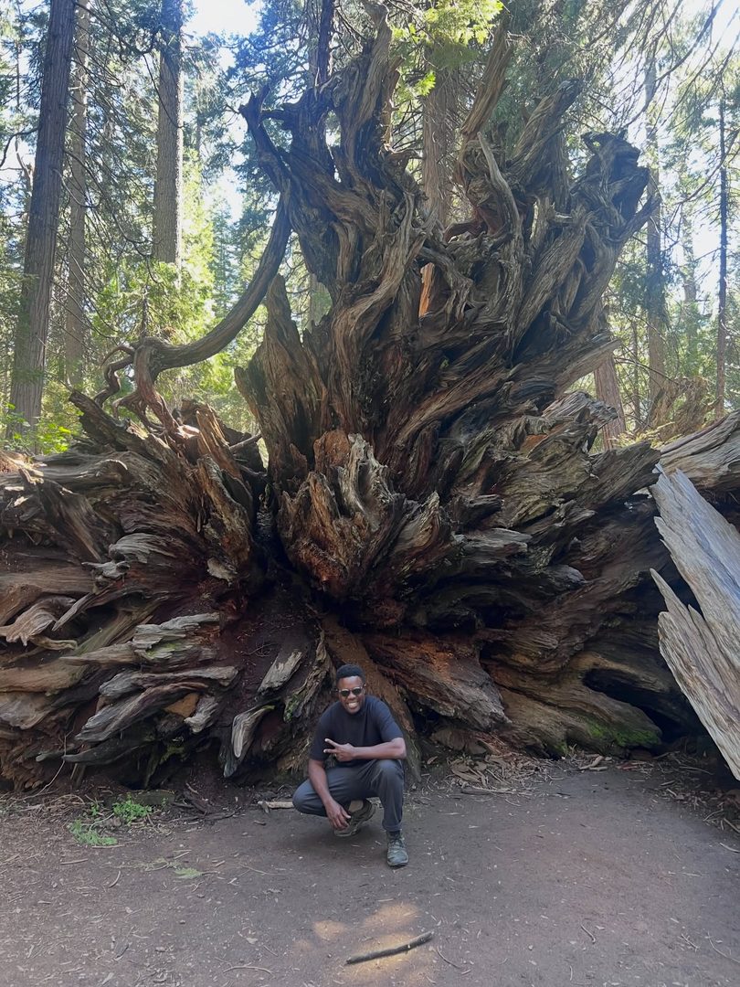 These were some big trees! Thankful for Mother Nature and the joy of living in California. This quick drive, less than 3 hours, from Oakland past Modesto led us to the Calaveras county where Big Trees National Park shared the awe of giant sequoias. Highly recommend this spring break getaway 🌲