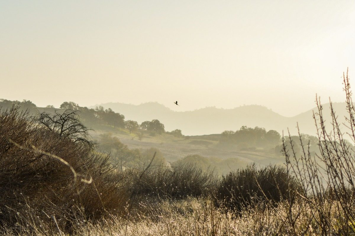 One of the best things about living in the East Bay? You’re never more than a few minutes away from