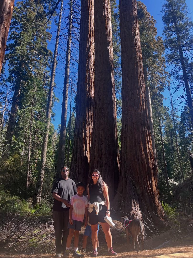 These were some big trees! Thankful for Mother Nature and the joy of living in California. This quick drive, less than 3 hours, from Oakland past Modesto led us to the Calaveras county where Big Trees National Park shared the awe of giant sequoias. Highly recommend this spring break getaway 🌲