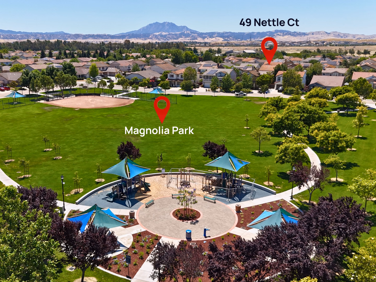 Real Estate Insights: Navigating a $100K Loss on 49 Nettle Ct, Oakley Amid a Challenging Market