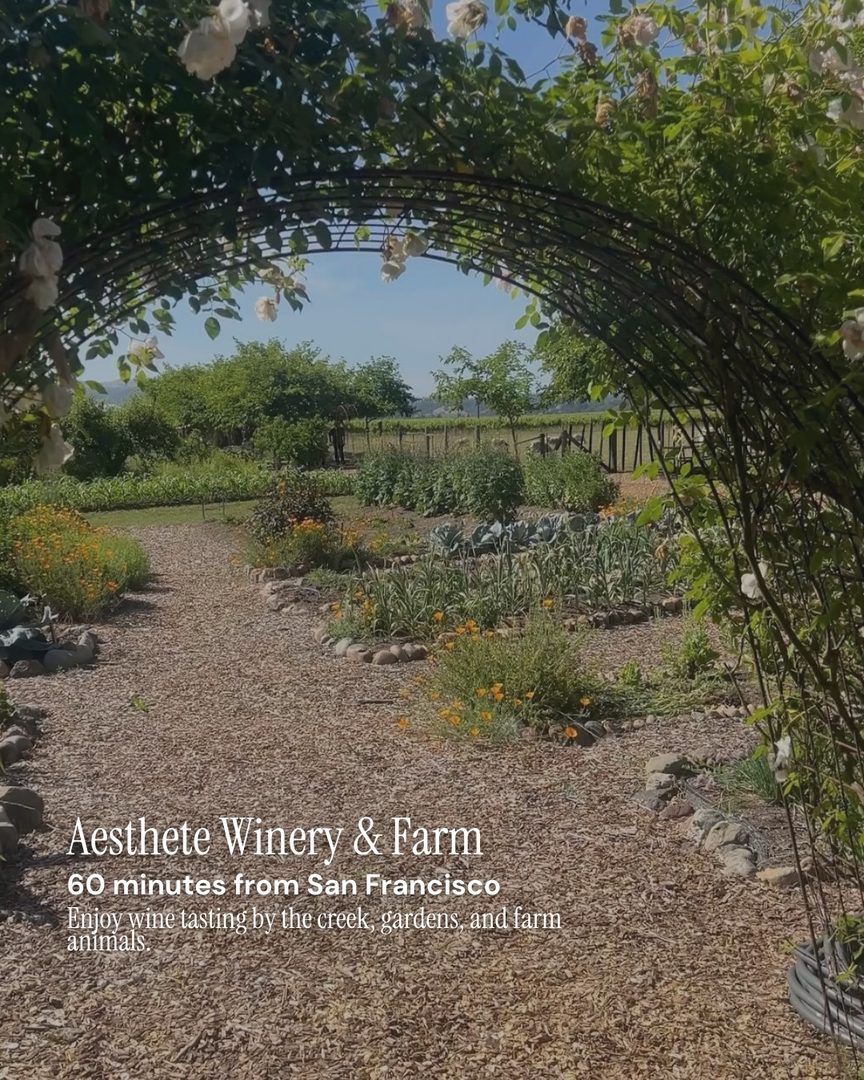 Five fall weekends. Five beautiful escapes—all within an easy drive of San Francisco.

Comment GUIDE and I’ll send you my Local San Francisco Guide.

🌊 The Ritz-Carlton, Half Moon Bay About an hour from the city, it’s a lovely place to unwind with a spa visit, then enjoy dinner or drinks overlooking the ocean.

🍁 Filoli Gardens One of my favorite fall outings. Take in the changing leaves and the beautiful gardens at their seasonal best.

🎈 A hot air balloon ride over Wine Country A memorable way to see the autumn colors across the vineyards.

🧖 Solage Make a weekend of it with a relaxing spa day and a little well-deserved pampering.

🍷 Aesthete Winery & Farm End the month with a tasting by the creek, a stroll through the gardens, and a chance to meet the farm animals. It’s a tucked-away spot about an hour from San Francisco that tends to feel peaceful and uncrowded. Head to Healdsburg Plaza afterward for dinner—there are so many wonderful restaurants to choose from.

Living in San Francisco puts all of these within reach for an easy day trip or a full weekend away.

Comment GUIDE and I’ll send you my Local San Francisco Guide.

Lisa Vukovic | San Francisco real estate agent Distinctive representation—and a local perspective to help you find the lifestyle you’re looking for.
#sfthingstodo #sfweekends