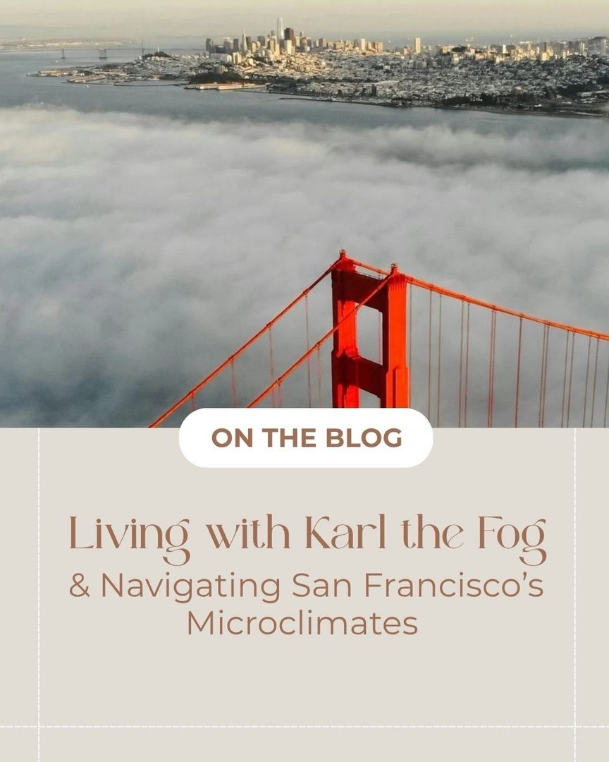 I’m so excited to share my new website BridgeandSoundHomes.com! 🌁🌅 

Over the past year, I’ve been focused on learning the San Francisco real estate market and continuing to help clients navigate buying, selling, and relocating. Bridge & Sound is a resource I’ve created for anyone navigating moves between San Francisco and Seattle (and beyond!). I’m having so much fun with my blogging journey here (more posts coming soon). Take a look and see if there are any topics you’d like me to cover! 

Here are a few ways we can work together: 

💫 Relocating Between SF & Seattle
Moving between San Francisco and Seattle? I have lived and worked in both cities and know 
both markets inside and out.

💫 Finding You the Right Agent, Anywhere
Not moving to SF or Seattle? No problem. I have a nationwide network of vetted agents and will match you with the right fit for your city and your situation.

💫 Buying or Selling in San Francisco
Already in SF or headed here? I’m a licensed real estate agent in California and know the San Francisco market firsthand.

If you’re thinking about making a move, exploring your options, or simply have questions about the market, I’d be happy to help. You can learn more at my website, send me a DM, or reach out directly by phone or email anytime.

Follow my link in bio to check out BridgeandSoundHomes.com 🔗

San Francisco Real Estate Agent Amber Arnall
253-579-6706
Amber@SocietyNW.com

Amber Arnall is a licensed real estate broker with Corcoran Icon Properties in San Francisco DRE # 02275788 and is also a Referral Agent with CBR Referral Network