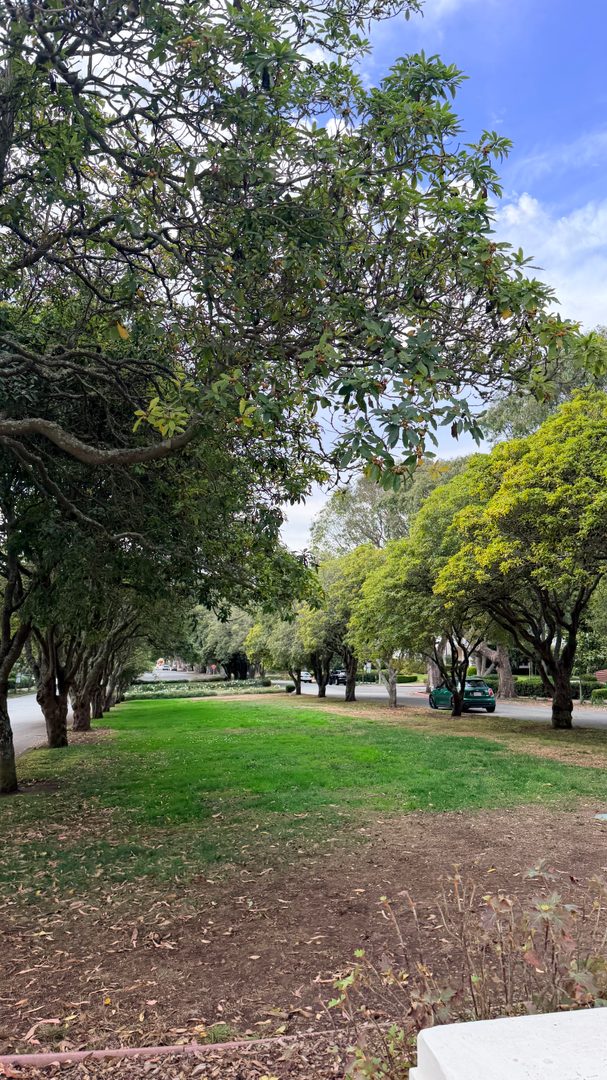 Open park in St. Francis Wood