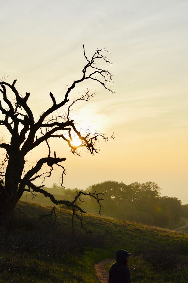 One of the best things about living in the East Bay? You’re never more than a few minutes away from