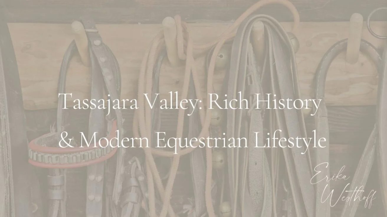 Tassajara Valley: Rich History and Modern Equestrian Lifestyle