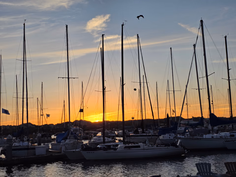 My home away from home in Moss Landing, let's talk about homes near your favorite activities